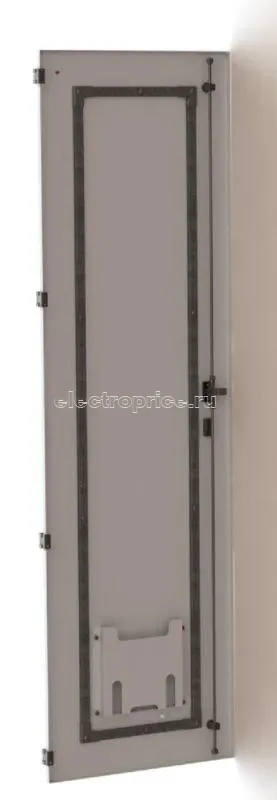 Фото Дверь FORT для корпуса высотой 2000 и шириной 800 PROxima EKF FD208