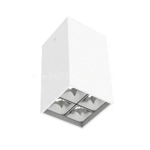 Фото Светильник светодиодный DL-Box Reflect Multi 2х2 14Вт 4000К 80х80х150 накладной кососвет RAL9003 бел. муар VARTON V1-R0-00254-20L17-2001440